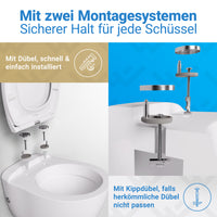 WC-Deckel Oval mit Absenkautomatik