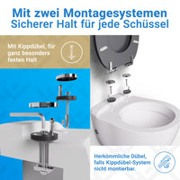 WC-Deckel mit Absenkautomatik